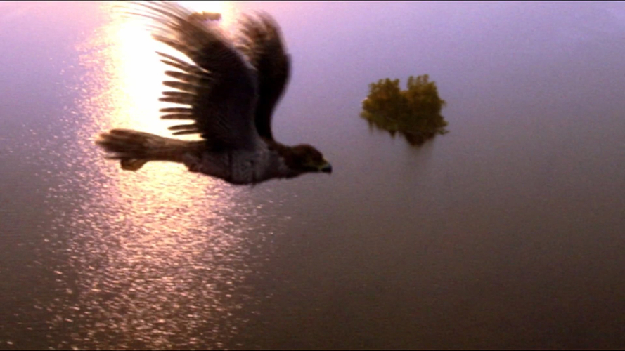 Anteprima Film